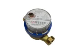 JS1,6-02-Rece-Lung-2